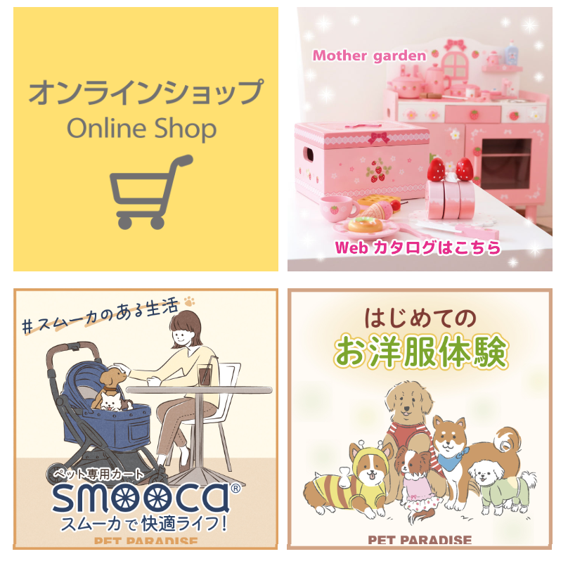 オンライン