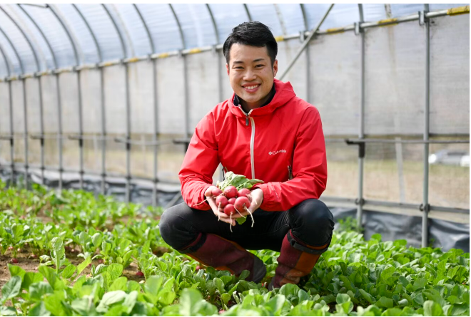 野菜