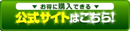 公式